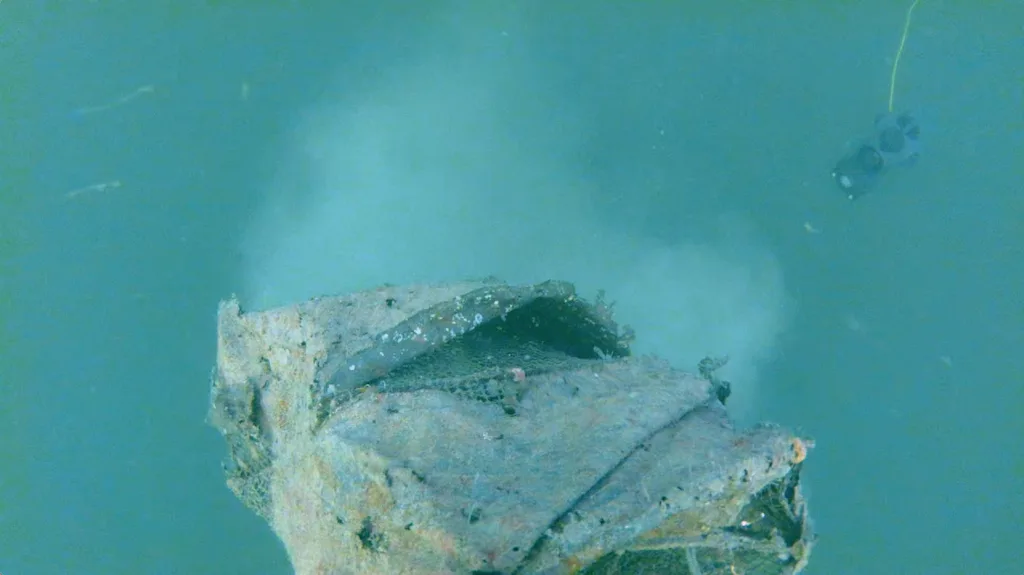 The crab trap is lifted from the seabed