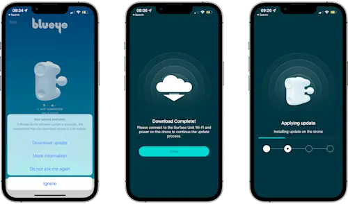 Blunux Software Update Process