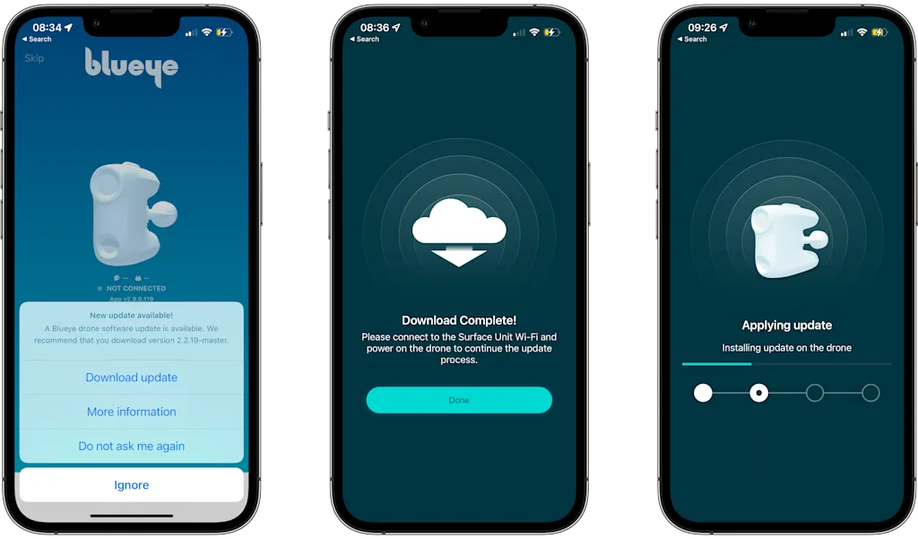 Blunux Update Process
