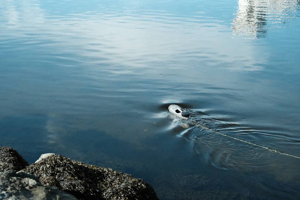 The Blueye GPS going upstream