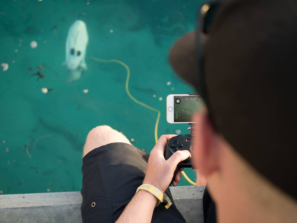 Blueye File Transfer