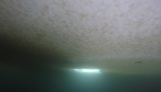 Returning to the hole in the ice