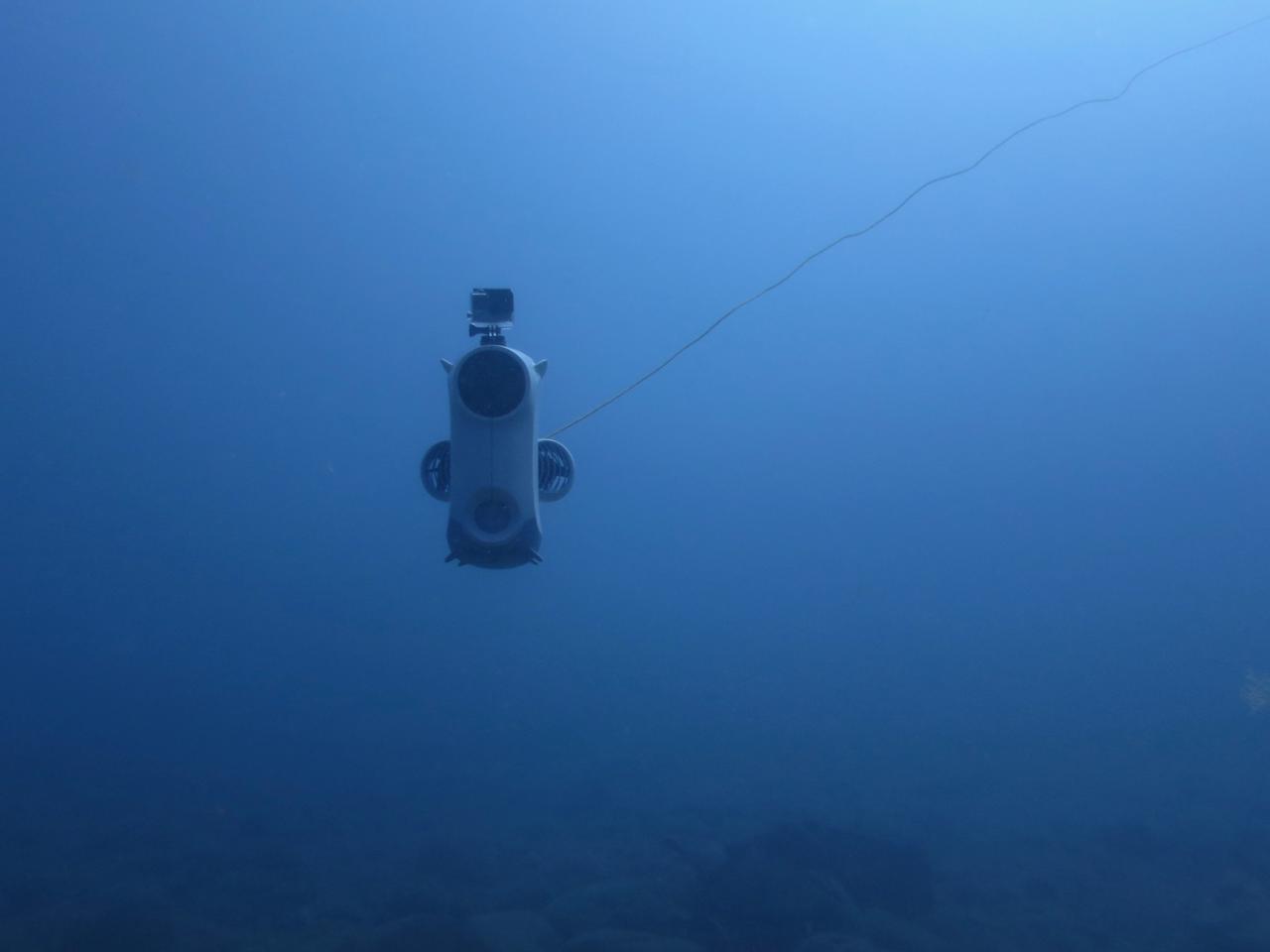Blueye underwater drone into the blue
