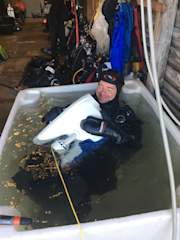 Vidar taking a bath with his new friend