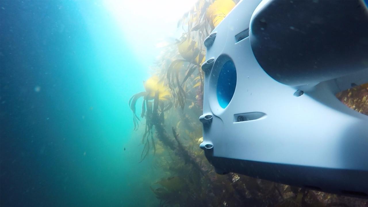 PioneerOne exploring the kelp forrest at Hitra Islands