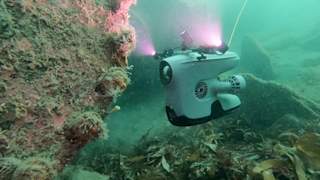 Blueye X3 med kamera og lys