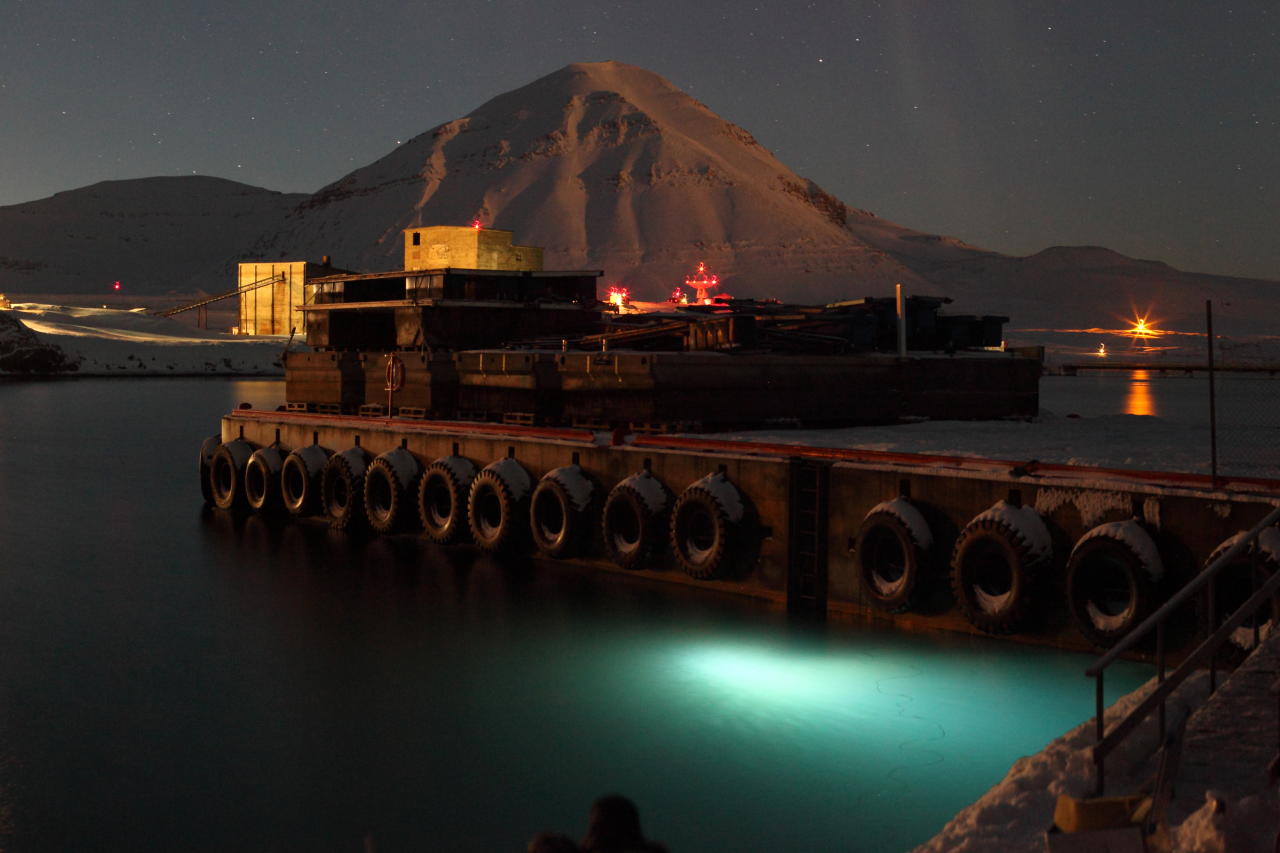 Blueye undervannsdrone brukes til å filme den arktiske tangarten Laminaria Solindongula og blåskjell