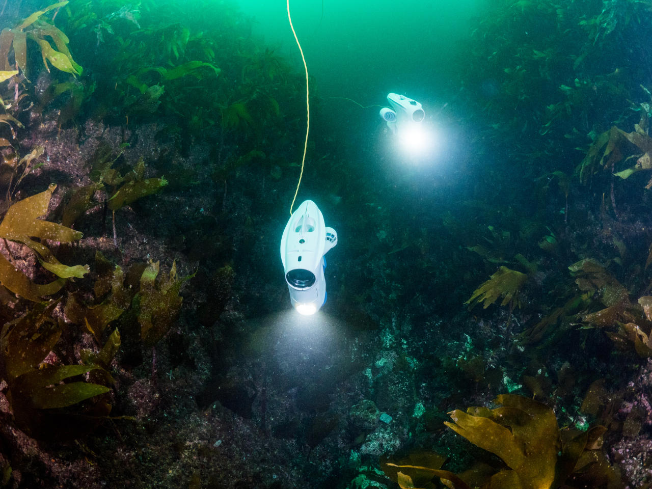 Two underwater drones exploring the kelp forest of Hitra