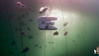 Blueye Drone in Fish Pen