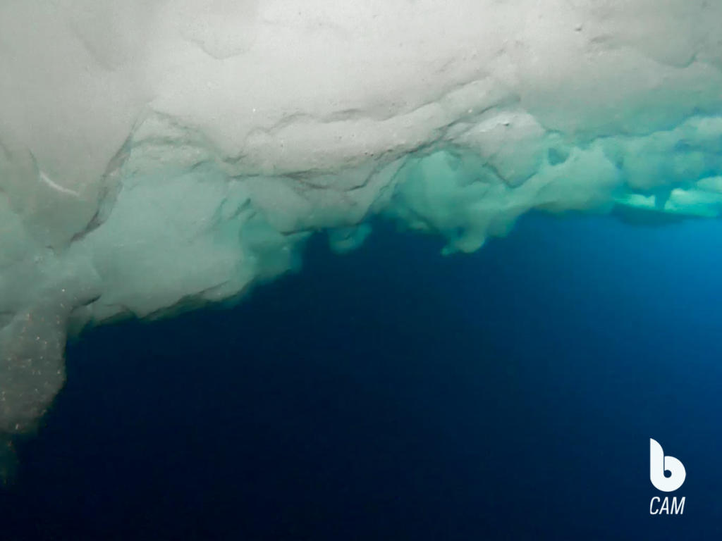 Blueye Pioneer video recording below the ice floes