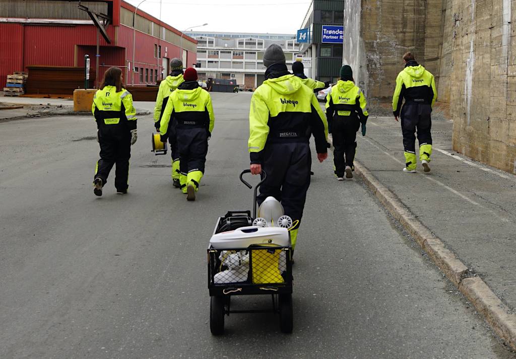 Blueye Summer Internship 2022