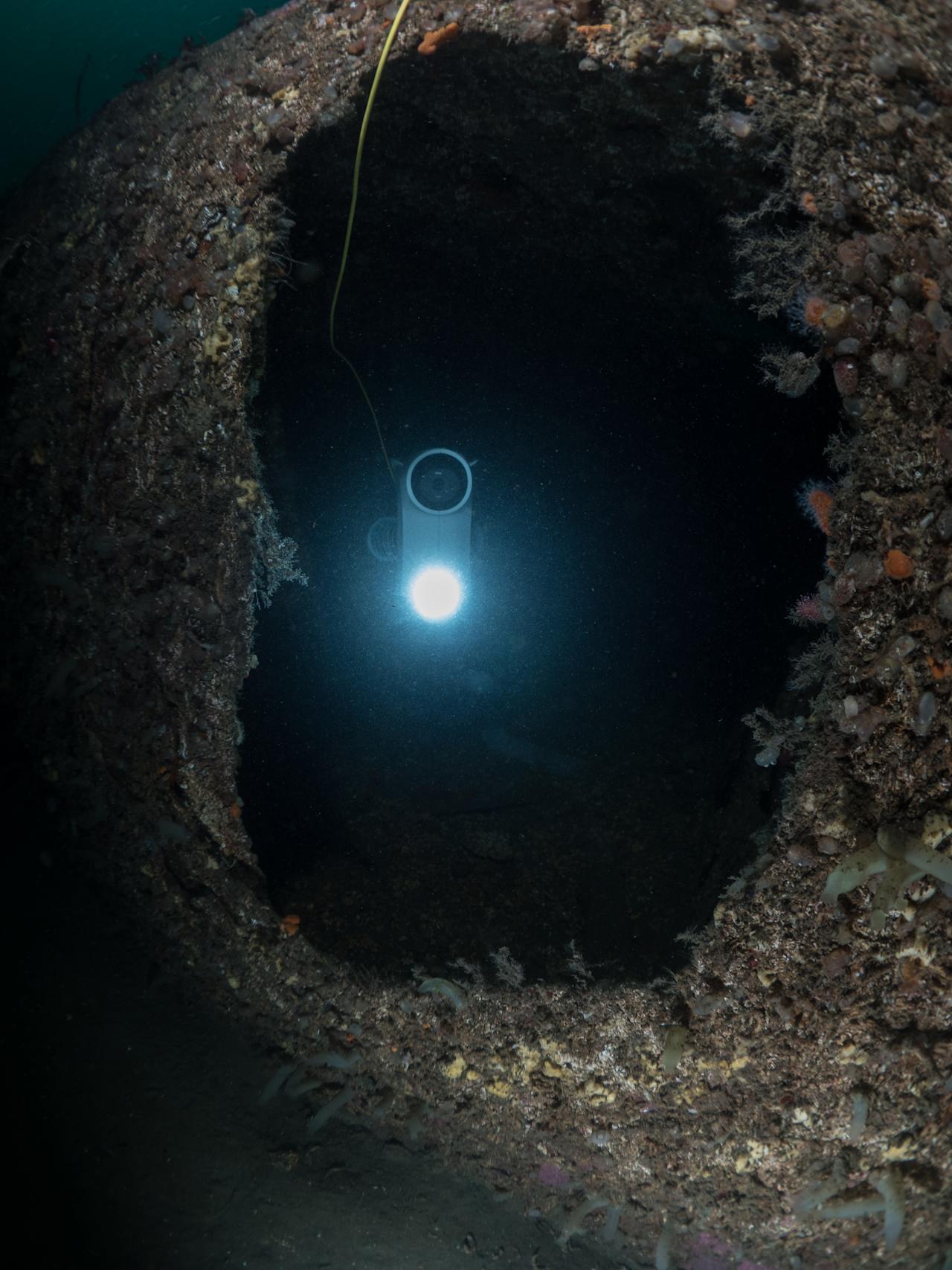 Blueye Pioneer exploring the inside of a shipwreck
