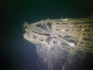 Nærbilde av hale venstre side