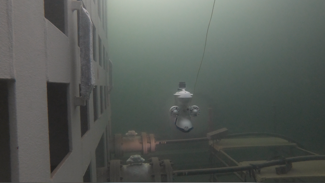 Blueye with GoPro