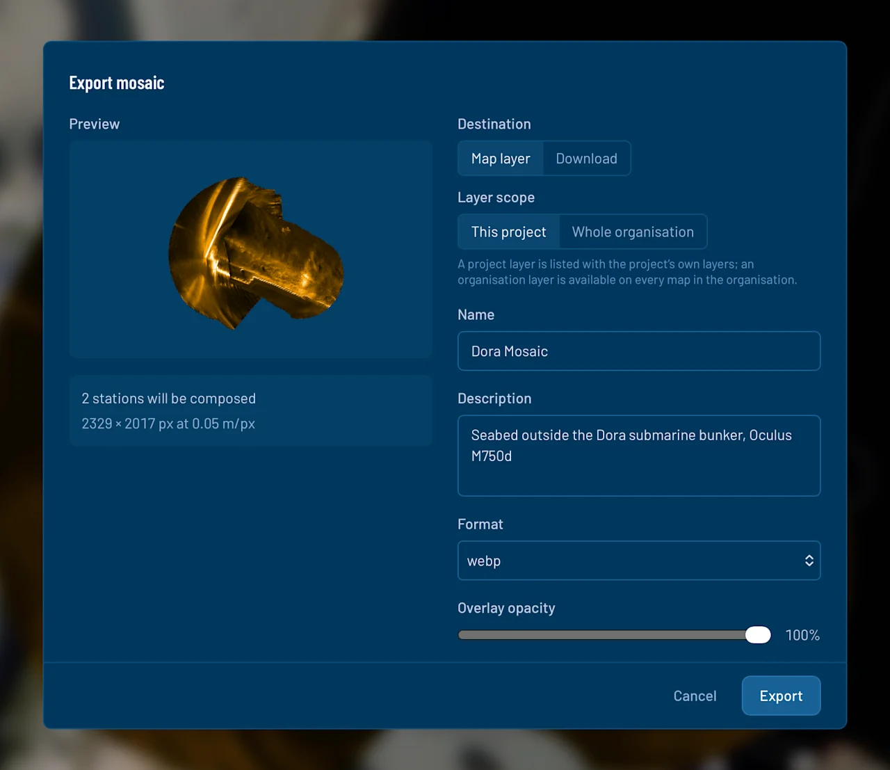 The Export mosaic dialog in Blueye Cloud, offering a map layer for the project or organisation, or a georeferenced image download