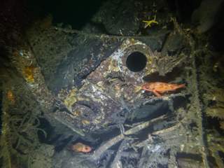 Ukjent boks ved venstre vinge