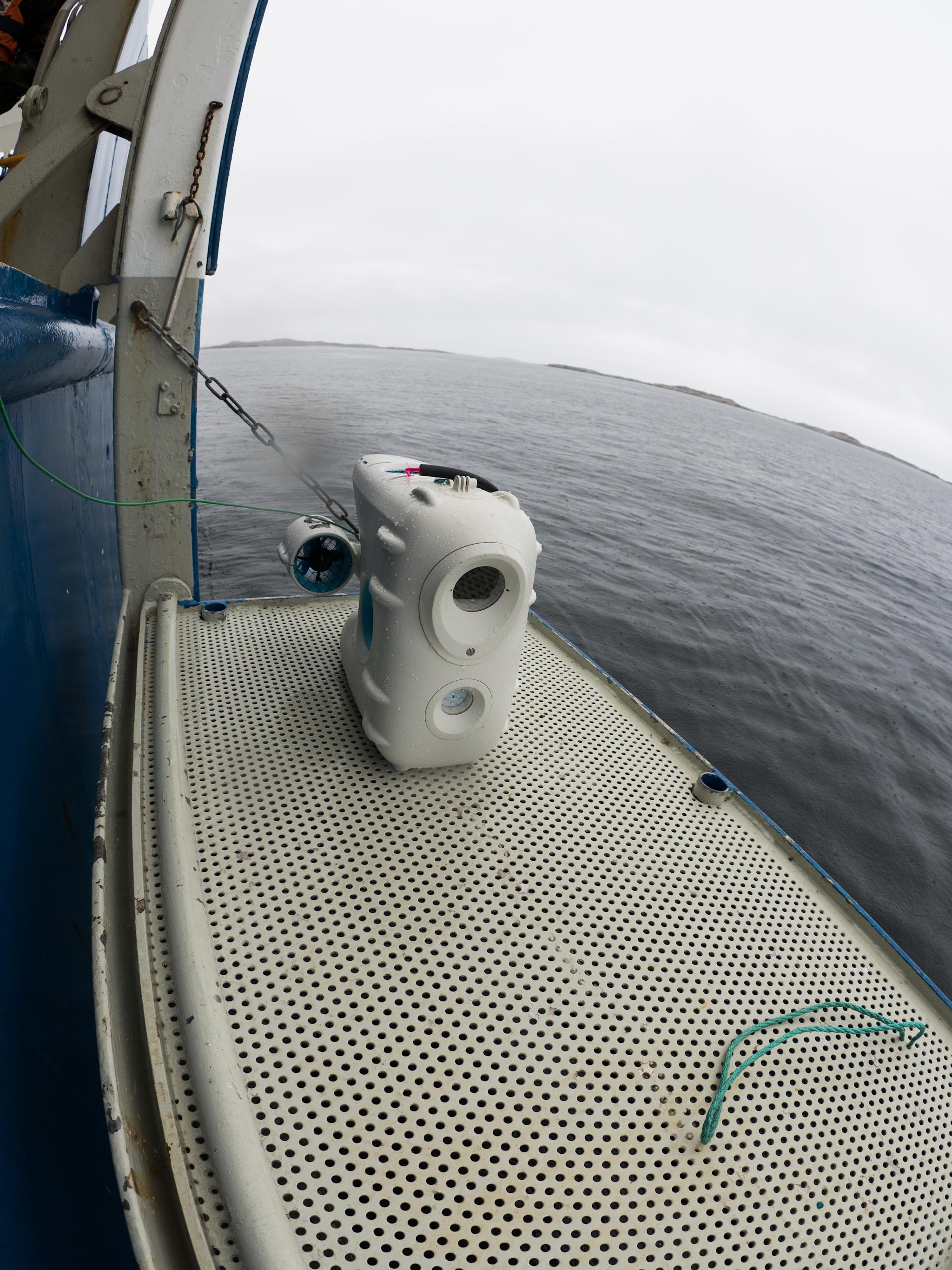 Ready to dive