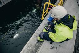 Inspecting from a quay