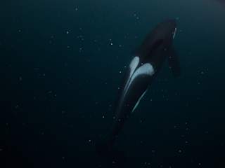 The patterns almost look like a hearth