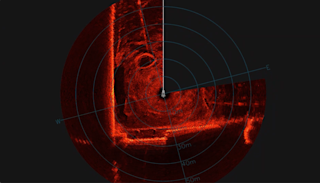Cerulean Omniscan Compact Sonar - Scan of the Dora bassin