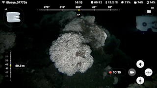 Screenshot from app, diving at 40 m depth