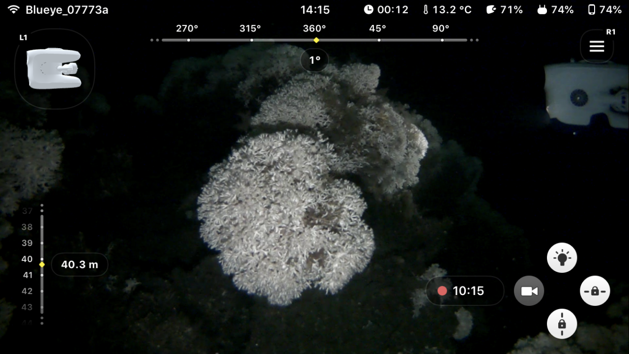Screenshot from app, diving at 40 m depth