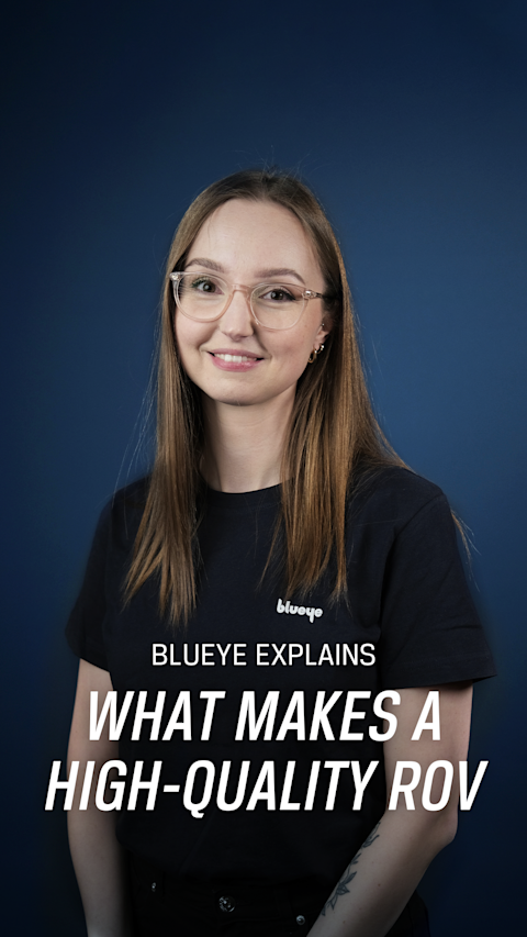 Art Director Mathilde Holand explains what makes a high-quality ROV