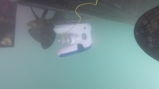 Inspecting vessel hull and propeller