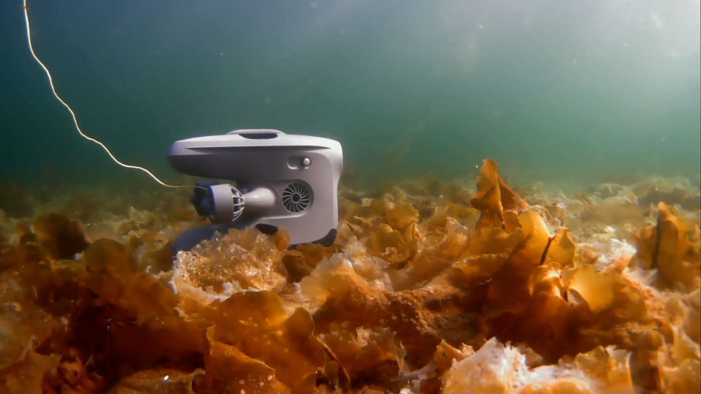 The Blueye X3 is systematically inspecting the kelp at the seabed.