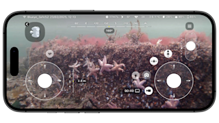 Marea: phone showing dive2