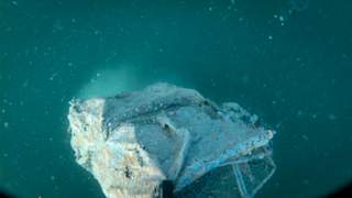 Extreme close-up of fouled fishing gear