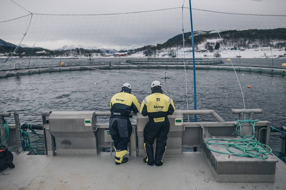 Blueye Webinar Aquaculture Fish Farm