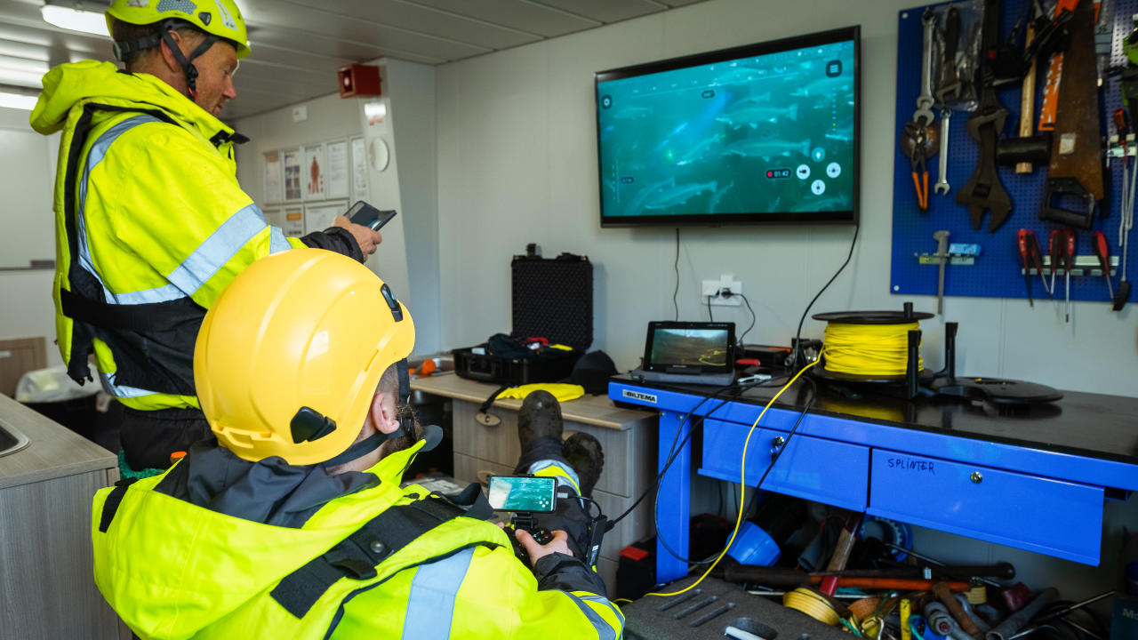 Styring av Blueye drone fra båt