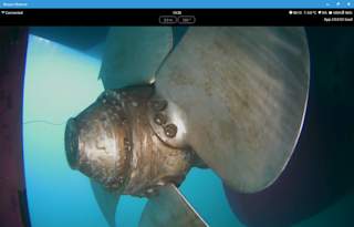 Blueye Observer on Windows