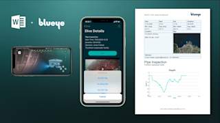 Report Generation in Blueye App