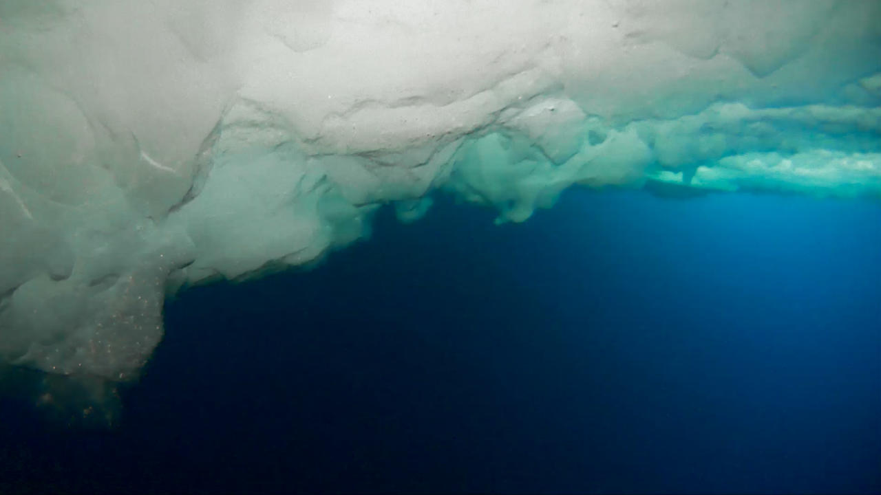 Below the ice floes