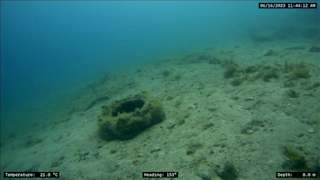 Master thesis - Seabed litter 2_Photo by University of Rijeka