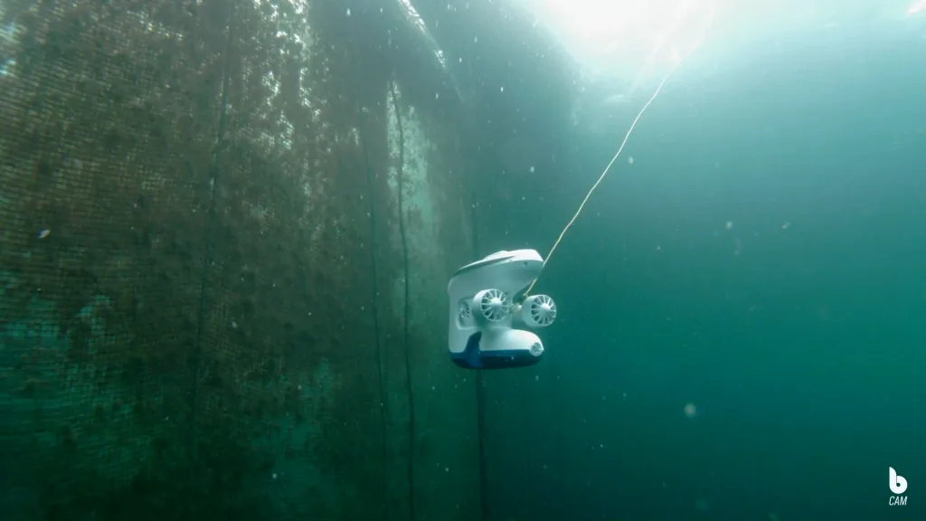 Blueye Pro undervannsdrone inspiserer not i en merde