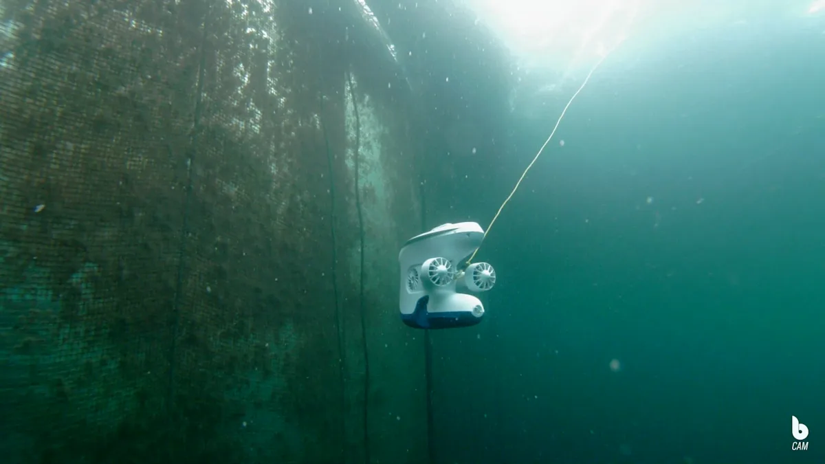 Blueye Pro underwater drone inspects a net in a pen