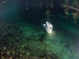 Lots of interesting things to explore in the shallows of Kvenvær harbour