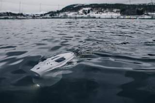 Blueye in the surface