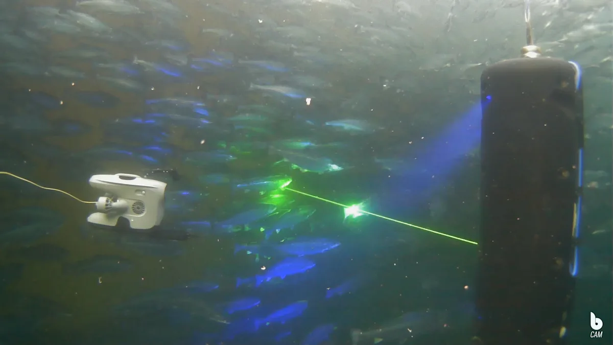 Blueye X3 underwater drone in the pen next to the lice laser