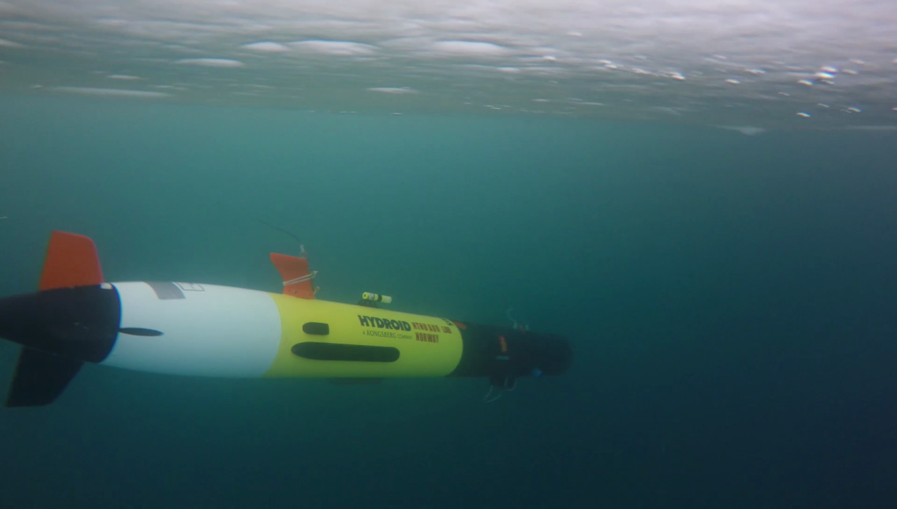 AUV REMUS flying into the unknown under the ice