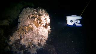 Blueye Pioneer filming the coral reef