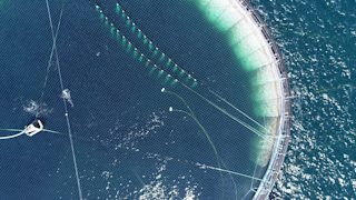 Aquaculture site in Norway