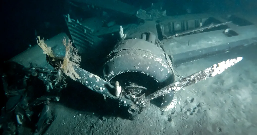 Picture of an aircraft wreck from the secon world war.