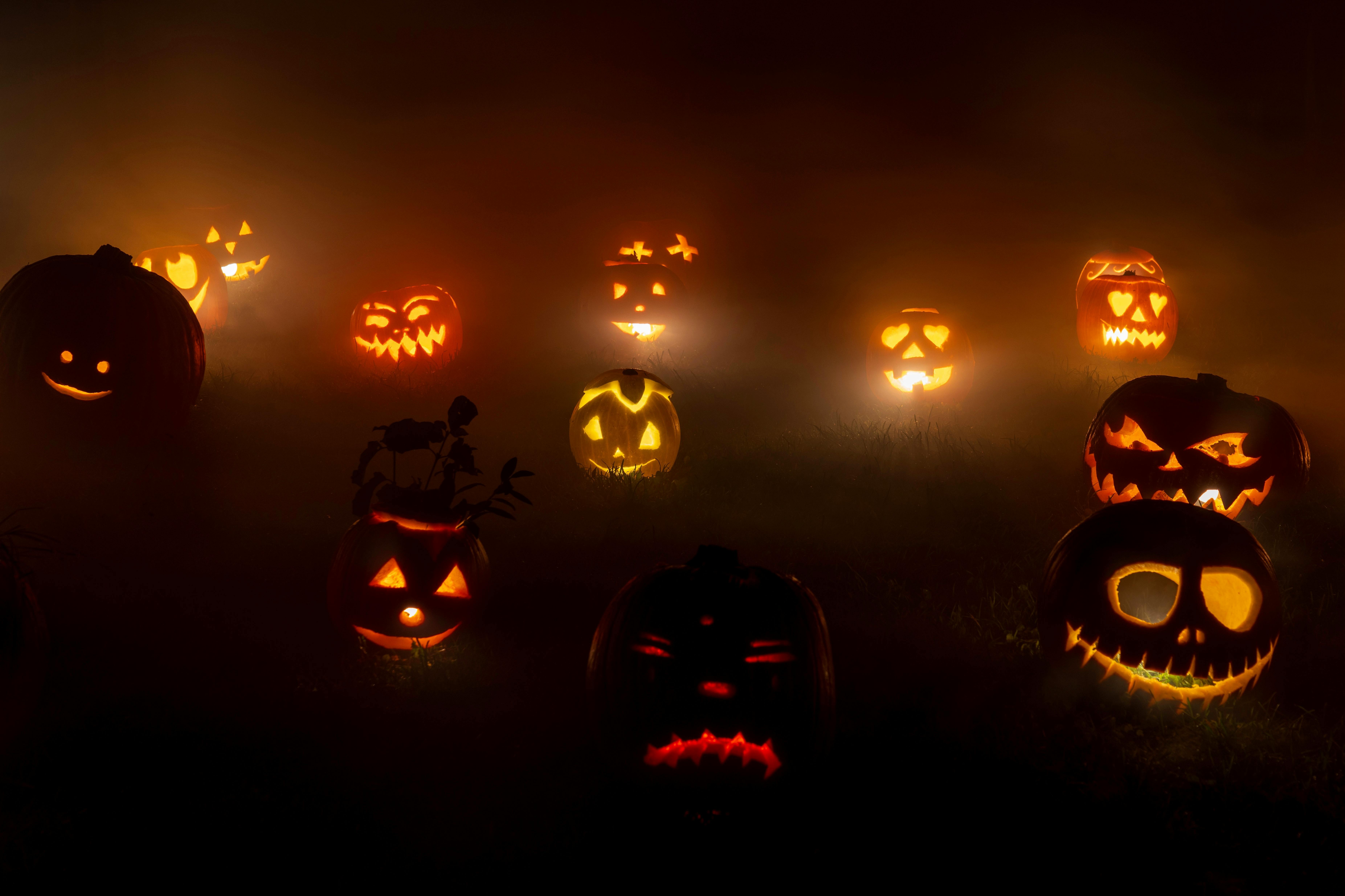 Halloween: Beyond the Candy Corn - The Spooky Trivia You're Dying to Know