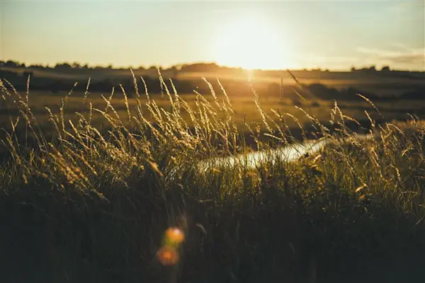 Guide to Inheritance Tax (IHT) 