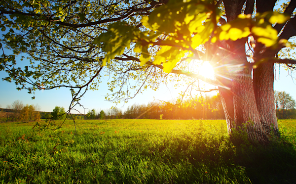 What should I do before the tax year ends?