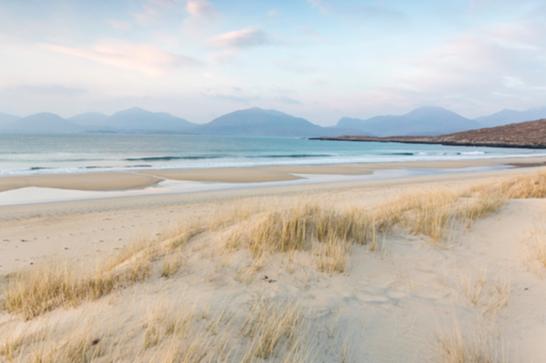 Should I stay invested or move to cash? 